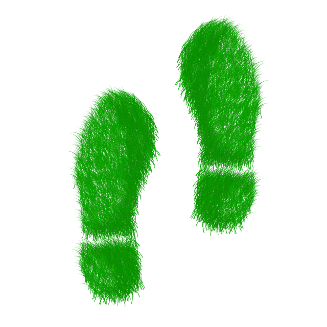 Comment les entreprises peuvent intégrer le développement durable dans leur modèle économique